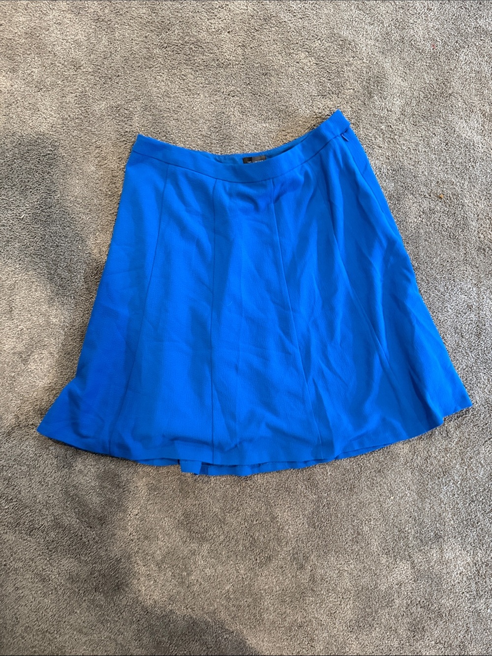 The Limited Royal Blue Circle Skirt